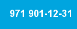 971 901-12-31 971 901-12-31